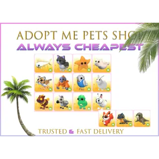 14 x Neon pets bundle