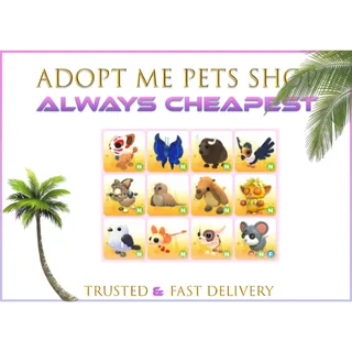 12 x Neon pets bundle