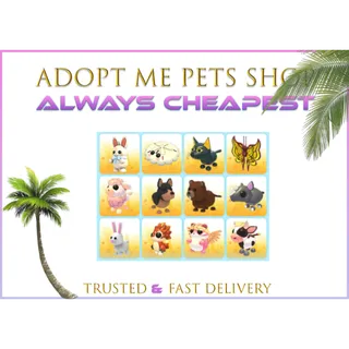 12 x Beautiful pets bundle