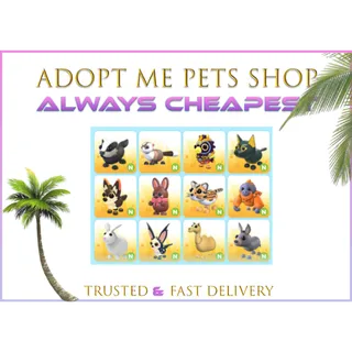 12 x Neon pets bundle