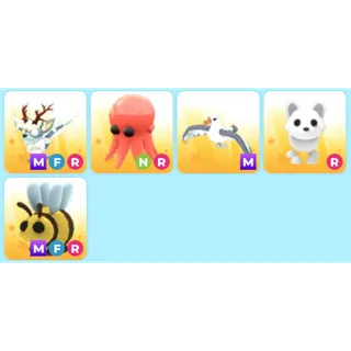 Amazing Pets bundle
