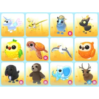 12x Amazing Adopt Pets bundle