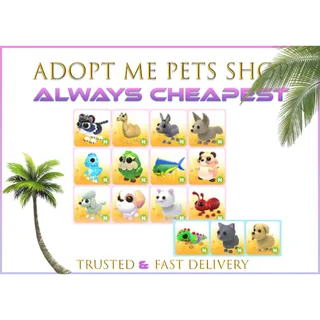 15 x Neon pets bundle