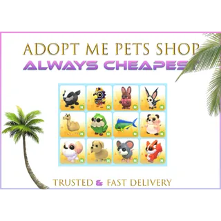 12 x Neon pets bundle