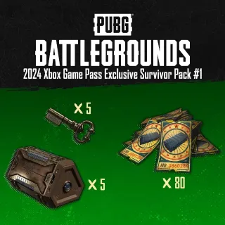 PUBG Battlegrounds Pack 2024