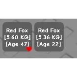 2 red fox