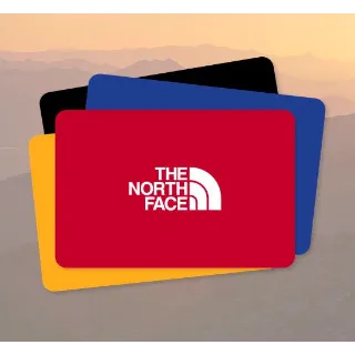 $151.00 USD northface gift