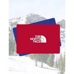 $334.00 USD northface gift 