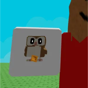 TINY Barn Owl ⚡️