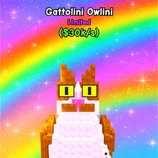 Gattolini Owlini🐱🦉