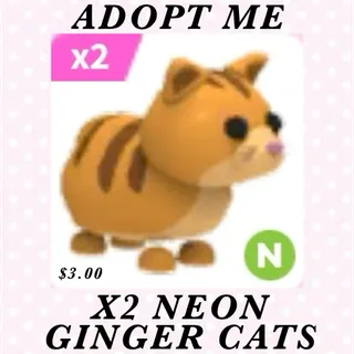 N GINGER CATS (2x)