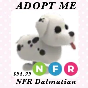 NFR Dalmatian