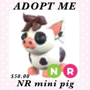 NR mini pig