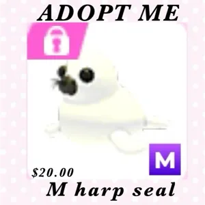 M harp seal
