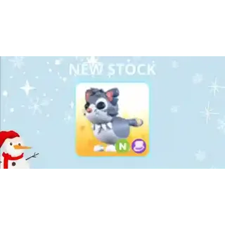 MFR MAJESTIC PONY - ADOPT ME / ADOPT