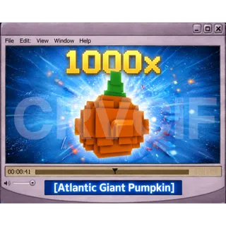 Atlantic Giant Pumpkin