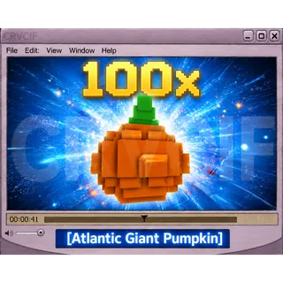 Atlantic Giant Pumpkin