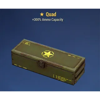 Quad Mod Box x5