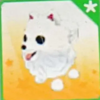 Samoyed