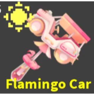 x1 Flamingo car