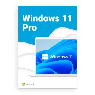 windows 11 pro online key 