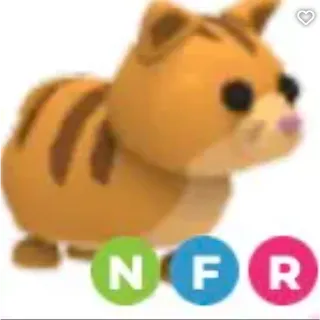 NFR Ginger Cat