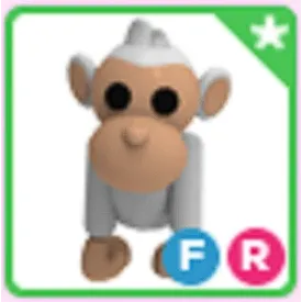 FR Albino Monkey