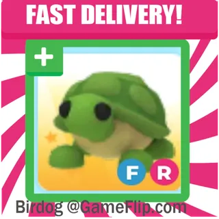FR Turtle