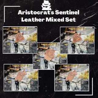 Apparel | Aristo Sent Leather Set