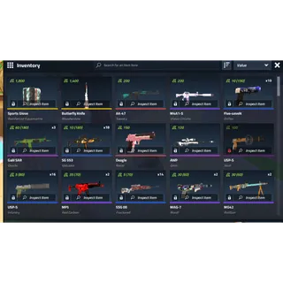 Counter blox inventory 6.1k value