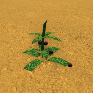 2 Dogbone Herbs