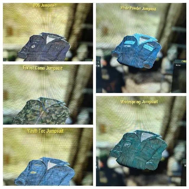 Apparel Rare Jumpsuit Bundle Fallout 76 Objet de jeu Gameflip