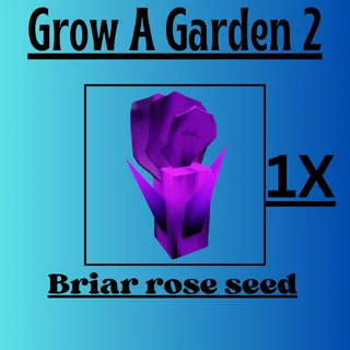 1X BRIAR ROSE SEED| Grow a Garden 2 | Fast delivery