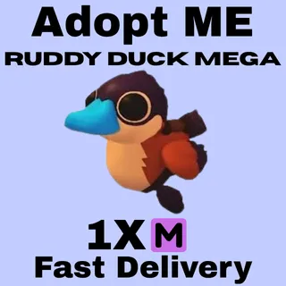 Ruddy Duck 1X Mega