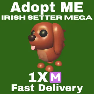 Irish Setter 1X Mega