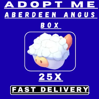 25X Aberdeen Angus Box 