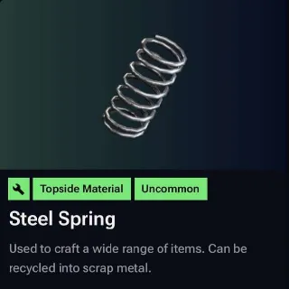 Steel Springs (x100)