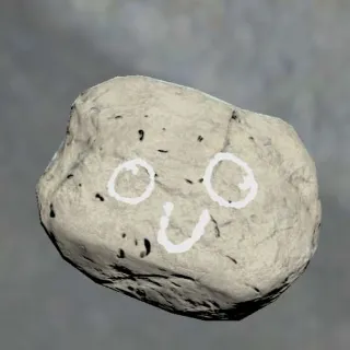 Pet Rock-Misc Item