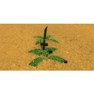 x100 Dogbane Herb| Bridger Western