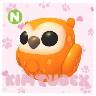 neon clementine owl