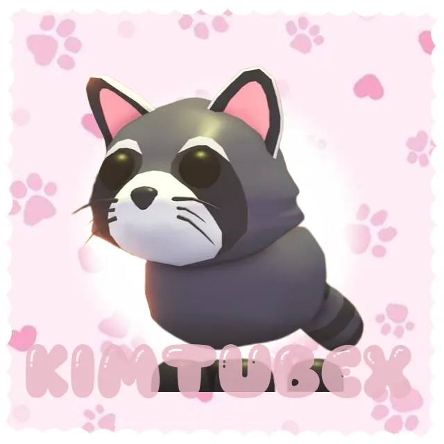raccoon - Adopt Me Game Item - Gameflip