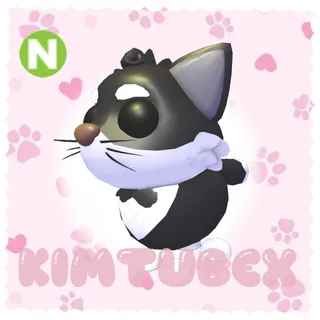 neon tuxedo cat