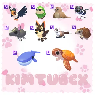mega endangered pets bundle