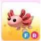 FR axolotl