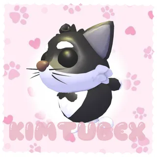 tuxedo cat