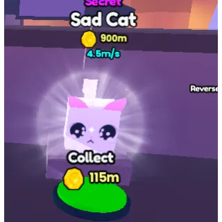 Steal A Pet Secret Sad Cat