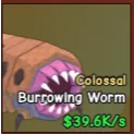 Colossal Burrowing Worm