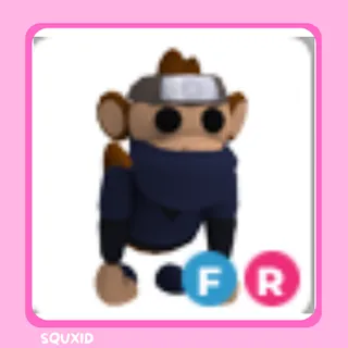 Ninja Monkey FLY RIDE