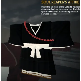 Soul Reaper Attire AOTR
