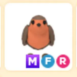 MFR Robin